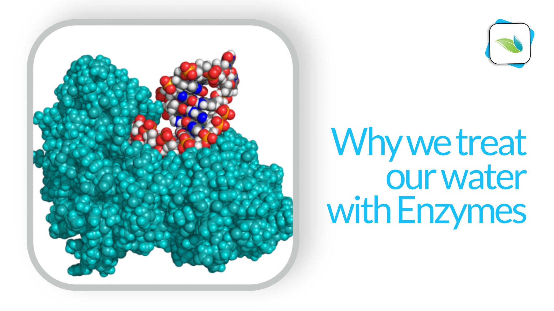 Why we treat our water with Enzymes